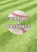 Parents Guide to Hitting a Baseball by Gil Suarez
