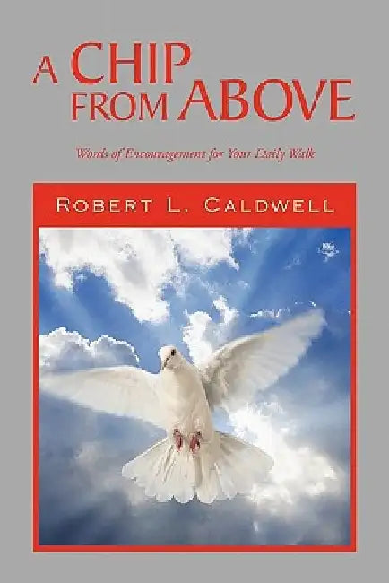 A Chip from Above by Robert L. Caldwell