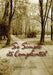 So Simple its Complicated by Shamisoh Chitima
