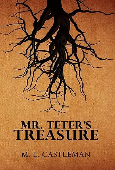Mr. Teter's Treasure by M. L. Castleman
