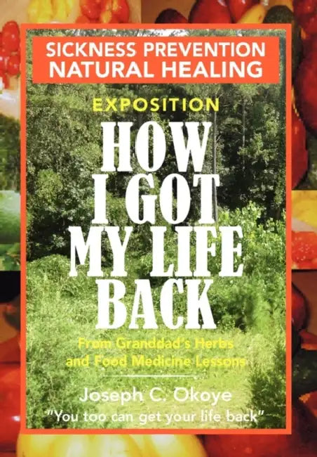 How I Got My Life Back by Joseph C. Okoye