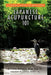 Japanese Acupuncture 101 by Wagner, Carl Dom Dipl Ac