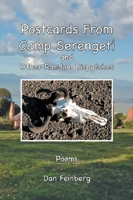 Postcards From Camp Serengeti: and Other Random Dispatches by Dan Feinberg