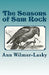 The Seasons of Sam Rock by Ann Wilmer-Lasky
