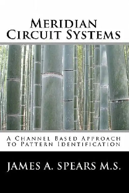 Meridian Circuit Systems: A Channel Based Approach to Pattern Identification by James A. Spears M. S.