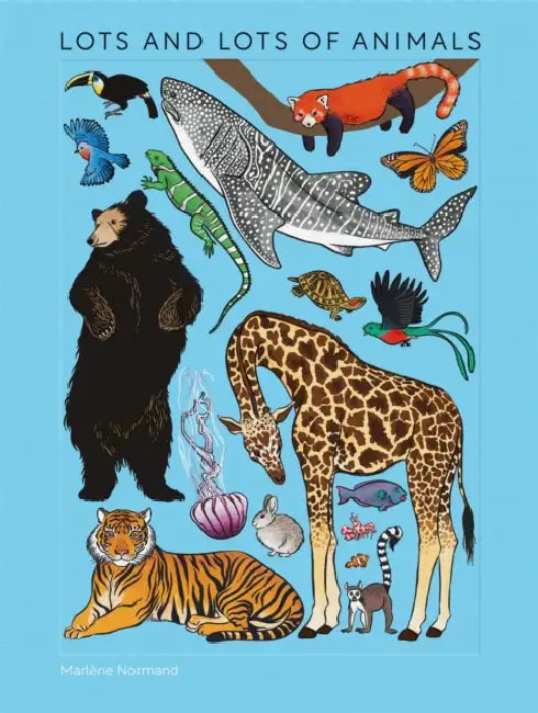 Lots and Lots of Animals by Marlène Normand, Boxer Books