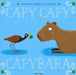 Capy Capy Capybara by Charise Mericle Harper