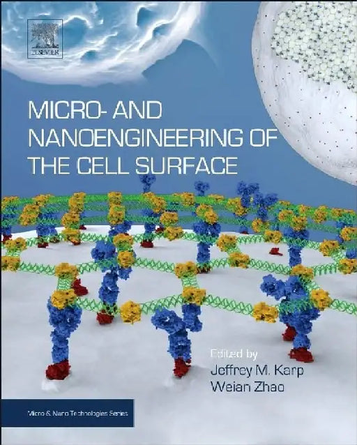 Micro- and Nanoengineering of the Cell Surface by Jeffrey M. Karp