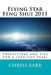 Flying Star Feng Shui 2011: Predictions and Tips for a Fabulous Year! by Chriss Barr