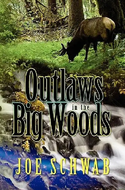 Outlaws in the Big Woods by Joe Schwab