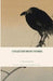 Collected Short Stories by Kenneth B. Lifshitz