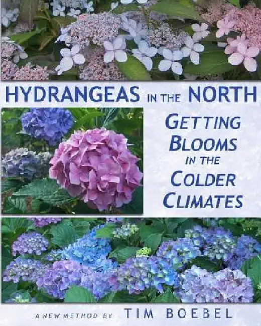 Hydrangeas in the North: Getting Blooms in the Colder Climates by Tim Boebel