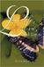 Life, Love, and Lupus by Stevie Beth