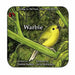 Warbie by Debbie Rankin