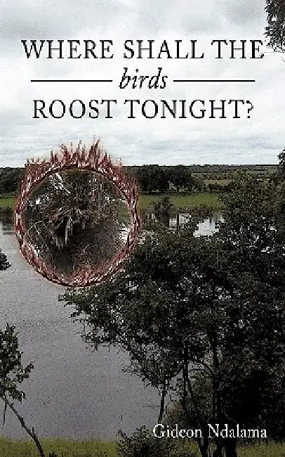 Where Shall the Birds Roost Tonight? by Gideon Ndalama