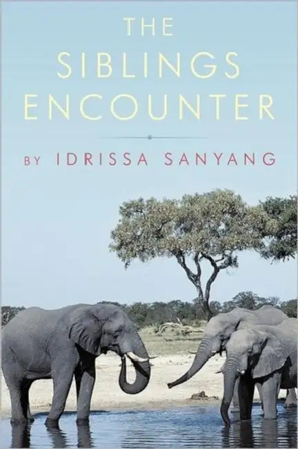 The Siblings Encounter by Idrissa Sanyang