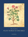 Plant World of the Bible by Hans Arne Jensen