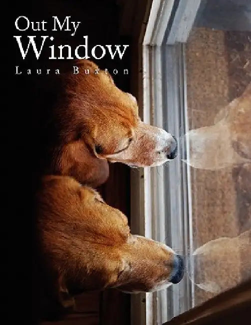 Out My Window by Laura Buxton