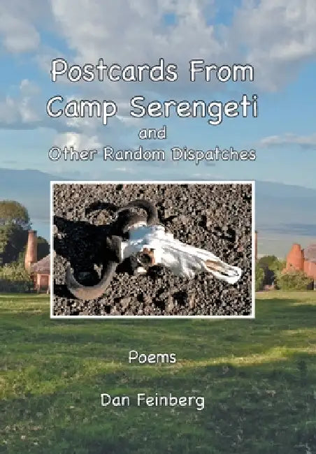 Postcards From Camp Serengeti: and Other Random Dispatches by Dan Feinberg