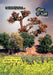 Manzil Na Milee by Surinder Sunner, Surindara Sicngha Sunnaora