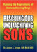 Rescuing Our Underachieving Sons: Raising the Aspirations of Underachieving Boys by Med Edd James S. Brown Ma
