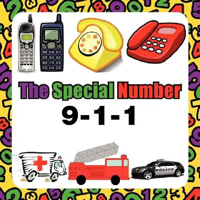 The Special Number by Janet Arnold