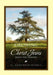 Growing in Christ Jesus: Enjoying the Process by C. Anderson-Harris