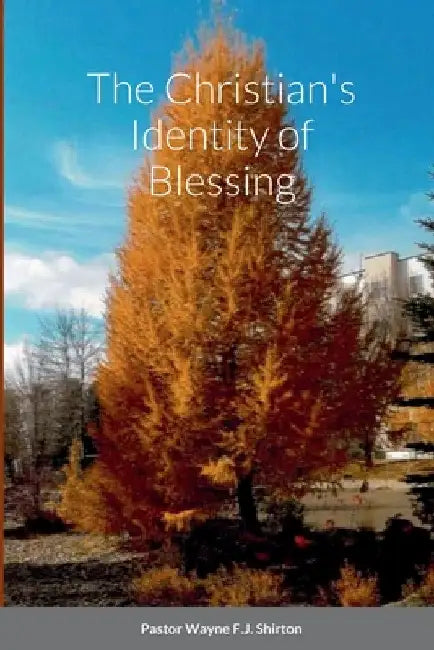 The Christian's Identity of Blessing by Wayne Shirton