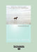 The Untethered Soul: The Journey Beyond Yourself by Michael A. Singer