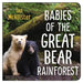 Babies of the Great Bear Rainforest by Ian McAllister