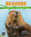 Beavers: Radical Rodents and Ecosystem Engineers by Frances Backhouse