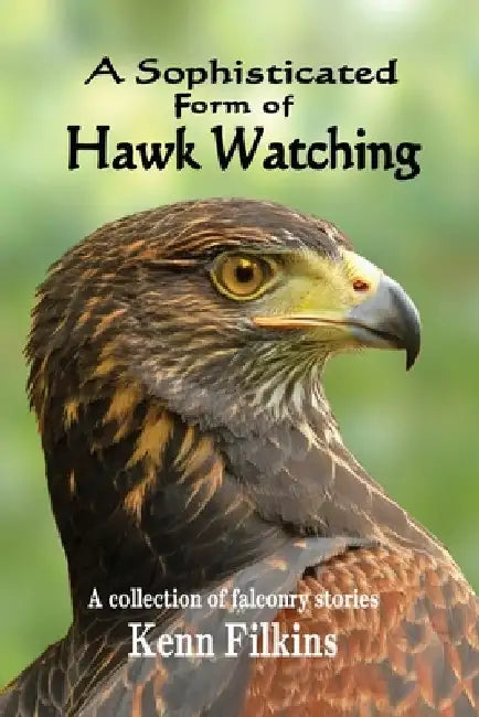 A Sophisticated Form of Hawk Watching by Kenn Filkins