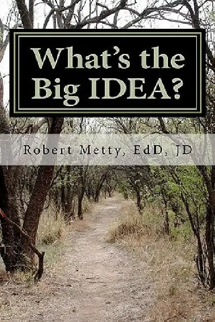 What's the Big IDEA?: A Guide to Understanding Special Education by Robert J. Metty Jr