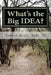 What's the Big IDEA?: A Guide to Understanding Special Education by Robert J. Metty Jr