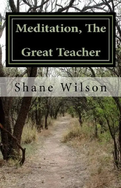 Meditation, The Great Teacher: "The Practice of Going Within" by Shane Wilson