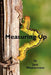 Measuring Up by Jack Wassermann