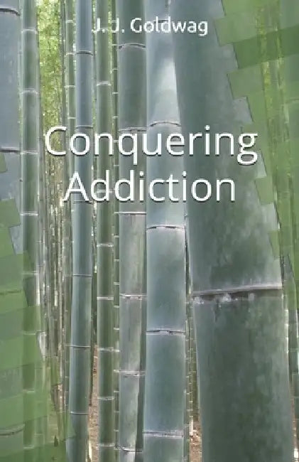 Conquering Addiction: A guide for maintaining happiness regardless of circumstance by J. J. Goldwag