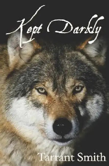 Kept Darkly by Stephanie Hudak