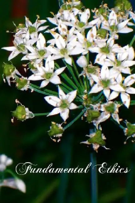 Fundamental Ethics by William Poland S. J.