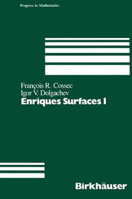 Enriques Surfaces I by F. Cossec