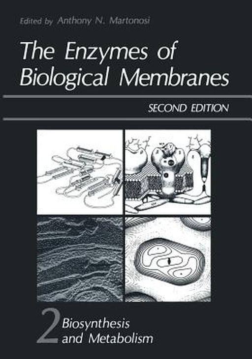 The Enzymes of Biological Membranes: Volume 2 Biosynthesis and Metabolism by Anthony Martonosi