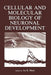 Cellular and Molecular Biology of Neuronal Development by Ira Black