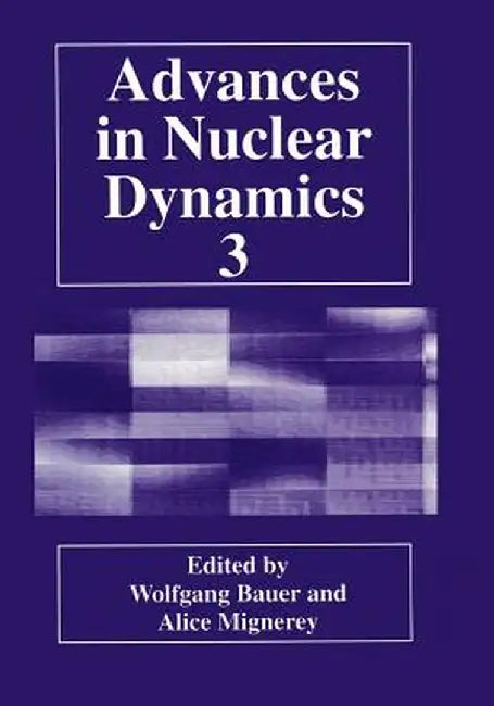Advances in Nuclear Dynamics 3 by Wolfgang Bauer