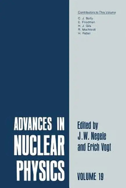 Advances in Nuclear Physics: Volume 19 by J. W. Negele
