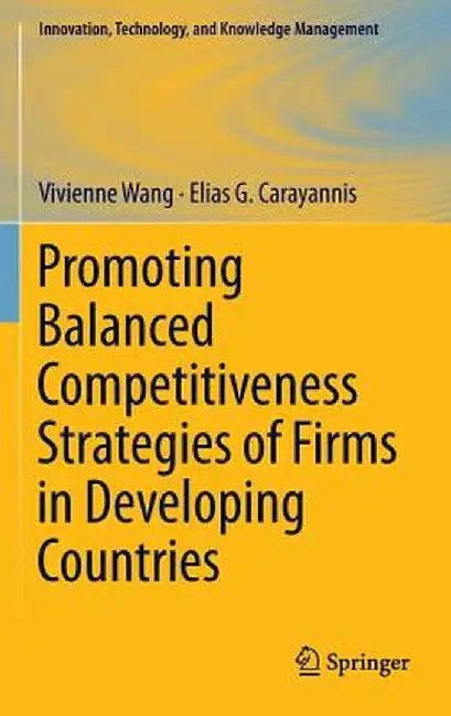 Promoting Balanced Competitiveness Strategies of Firms in Developing Countries by Vivienne W. L. Wang