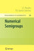 Numerical Semigroups by J. C. Rosales