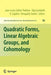 Quadratic Forms, Linear Algebraic Groups, and Cohomology by Skip Garibaldi