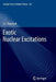 Exotic Nuclear Excitations by S. C. Pancholi