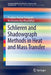 Schlieren and Shadowgraph Methods in Heat and Mass Transfer by Pradipta Kumar Panigrahi