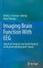 Imaging Brain Function with Eeg: Advanced Temporal and Spatial Analysis of Electroencephalographic Signals by Walter Freeman